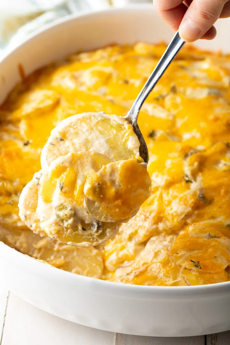 Scalloped Potatoes au Gratin