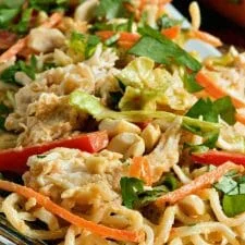 Thai Peanut Chicken Noodle Salad