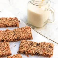 Grain-free Granola Bars (Paleo, Vegan)