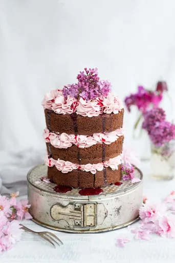 Chocolate layer cake with blackberry Italian buttercream