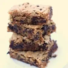 Peanut Butter Chocolate Chip Blondies