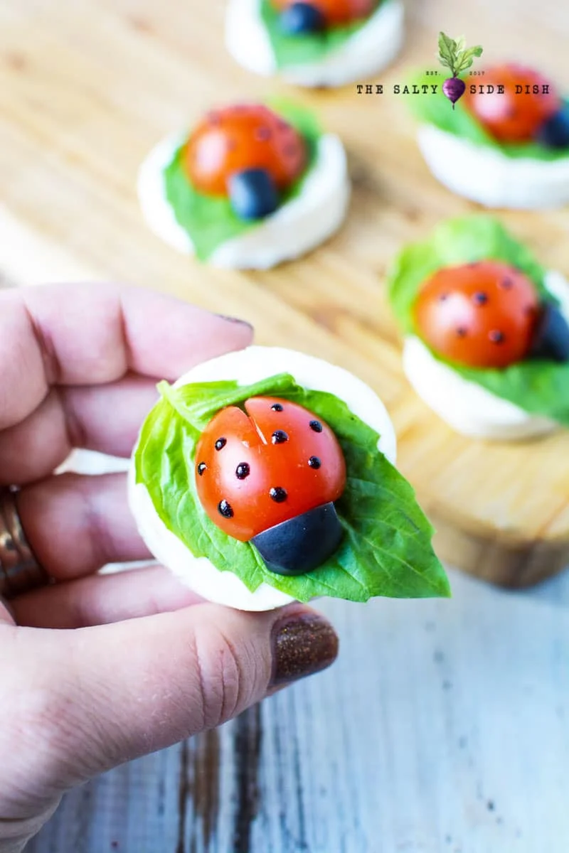 Caprese Ladybug Appetizer Tray with Tomatoes and Mozzarella