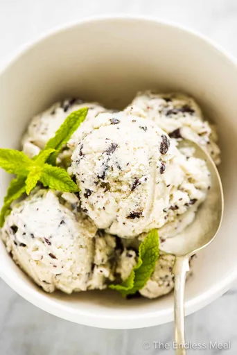 Homemade Mint Chocolate Chip Ice Cream Recipe