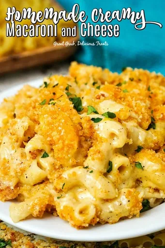 Homemade Creamy Macaroni and Cheese