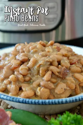 Instant Pot Pinto Beans