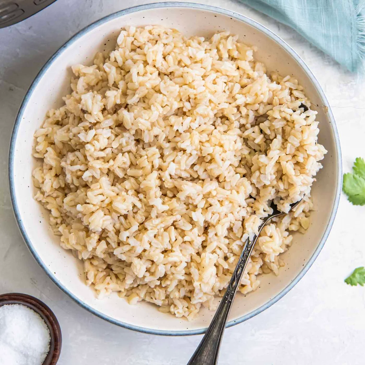 Instant Pot Brown Rice