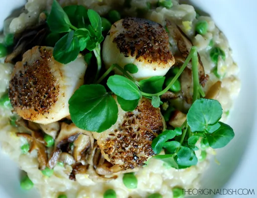 Anise Seared Scallops & Pea Risotto