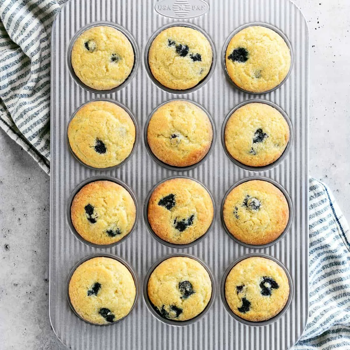 Blueberry Muffins
