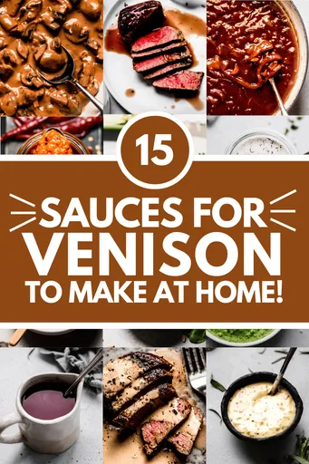 15+ Sauces for Venison