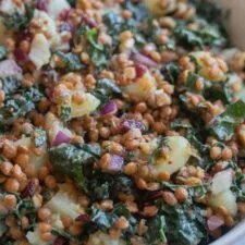 Lentil Potato and Kale Salad