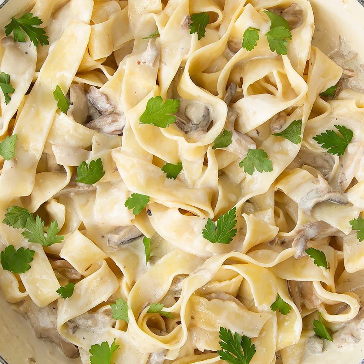 Creamy Mushroom Pappardelle Recipe