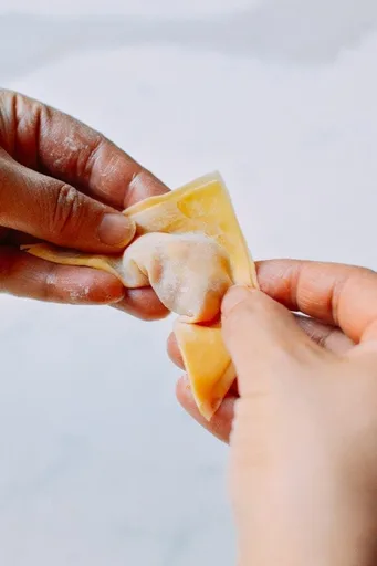 How to Fold Wontons (3 Ways!)