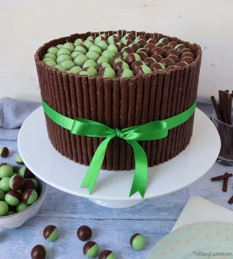 Tarta de chocolate y menta