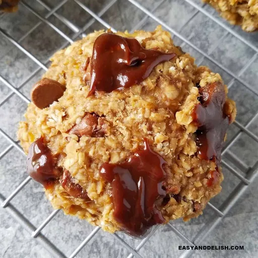 Gluten-Free Oatmeal Chocolate Chip Cookies