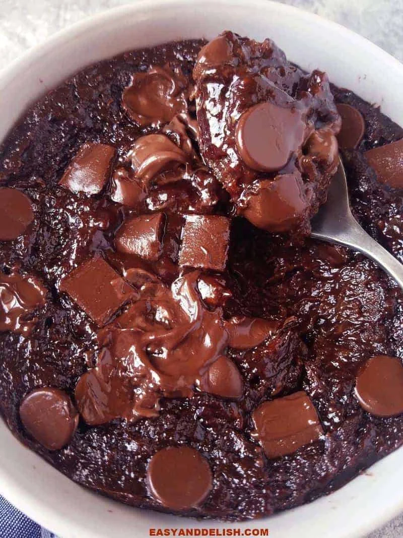 Healthy Chocolate Fudge Cake in a Mug (5 Ingredients)