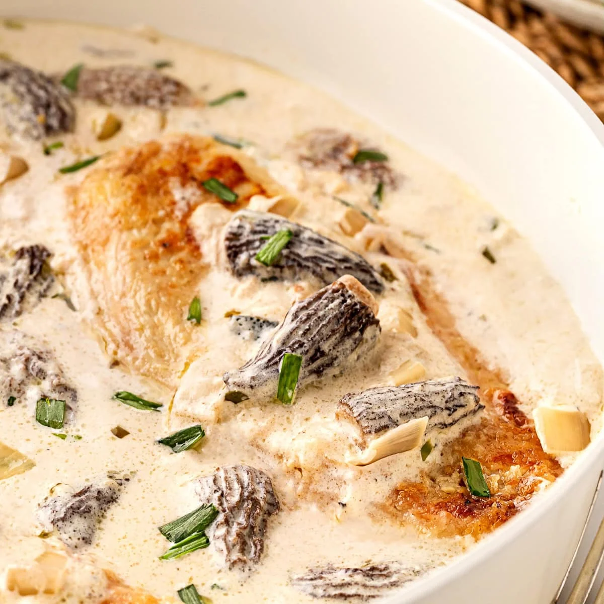 Creamy Chicken with Morels Recipe