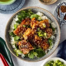 Donburi de salmón teriyaki