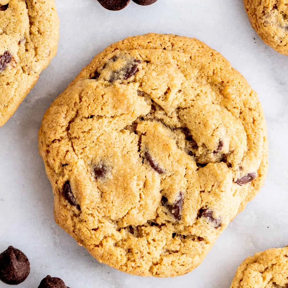 Oat Flour Chocolate Chip Cookies