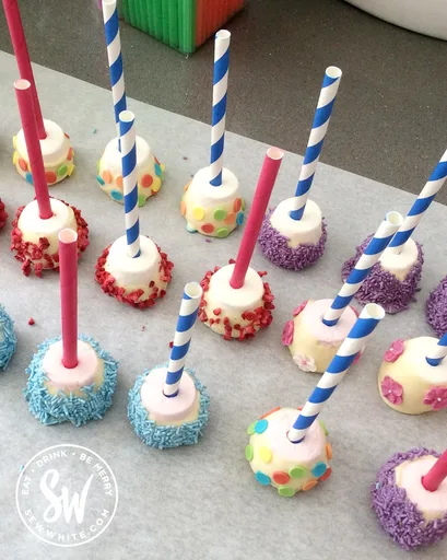 Marshmallow Chocolate Pops