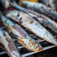 Fresh Sardines