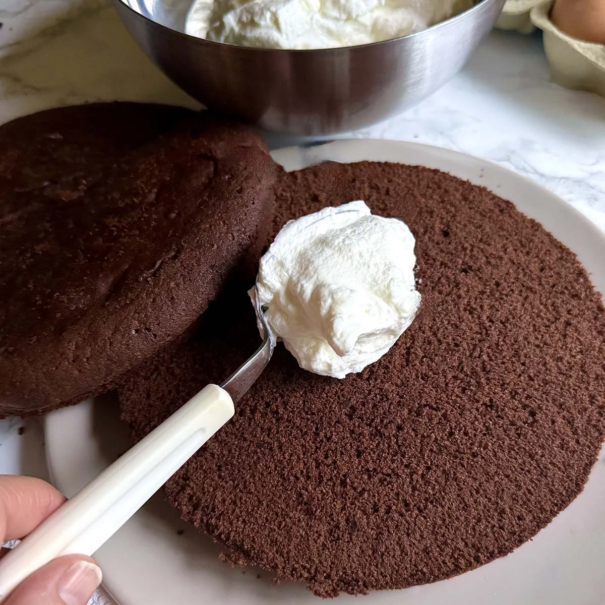 Chocolate Sponge Cake Recipe (Pan di Spagna al Cacao)