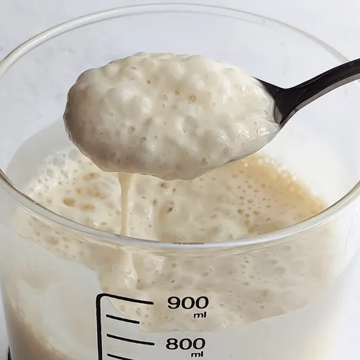 Sourdough Starter Recipe