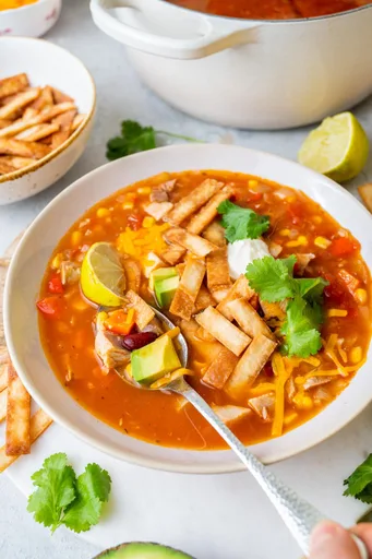 Sopa de tortilla con pavo