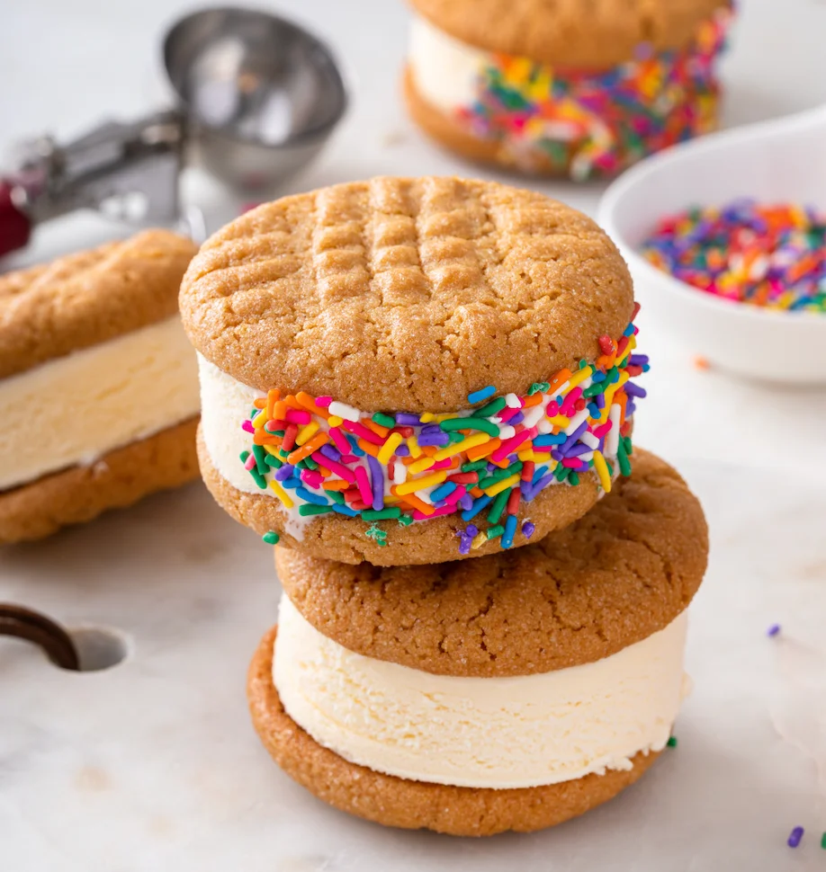 Homemade Ice Cream Sandwiches