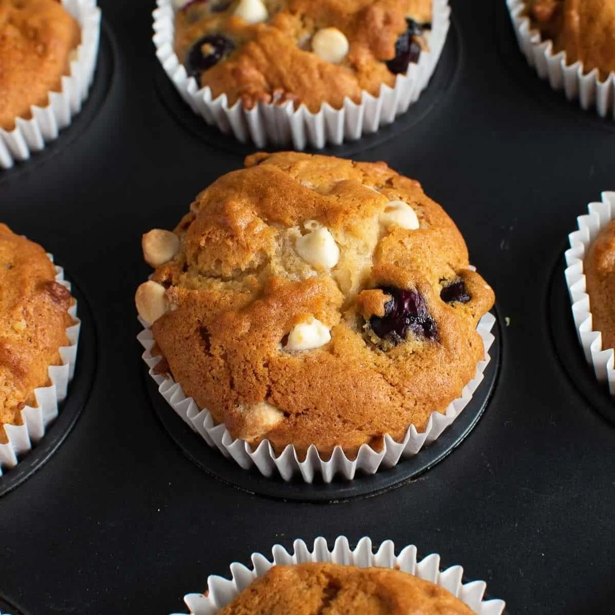 Blueberry and White Chocolate Muffins