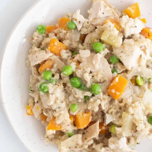 Crockpot Chicken and Rice