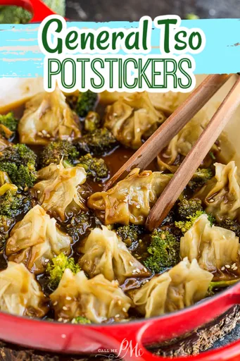 GENERAL TSO POTSTICKERS