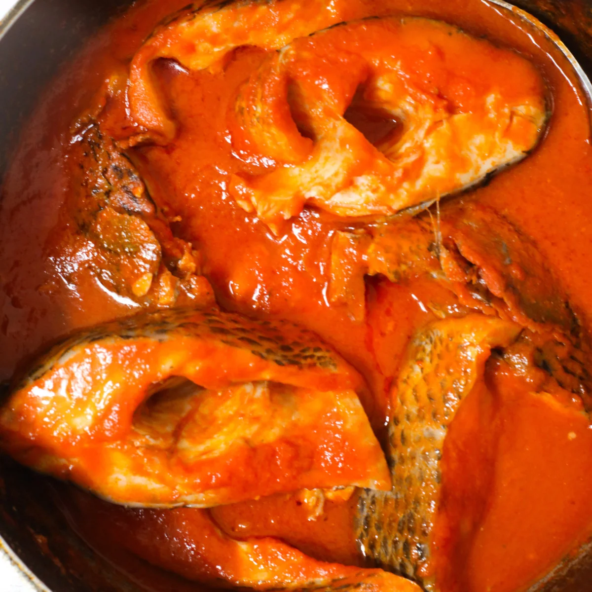 Nigerianischer Tilapia-Tomaten-Eintopf