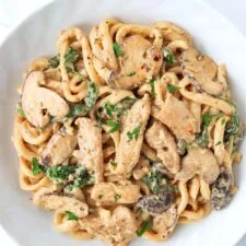Creamy Mushroom Udon with Chicken