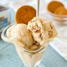 Pumpkin Spice Ice Cream (with Ginger Snaps & Roasted Pecans)