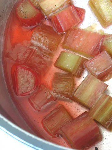 Compota de ruibarbo y vainilla