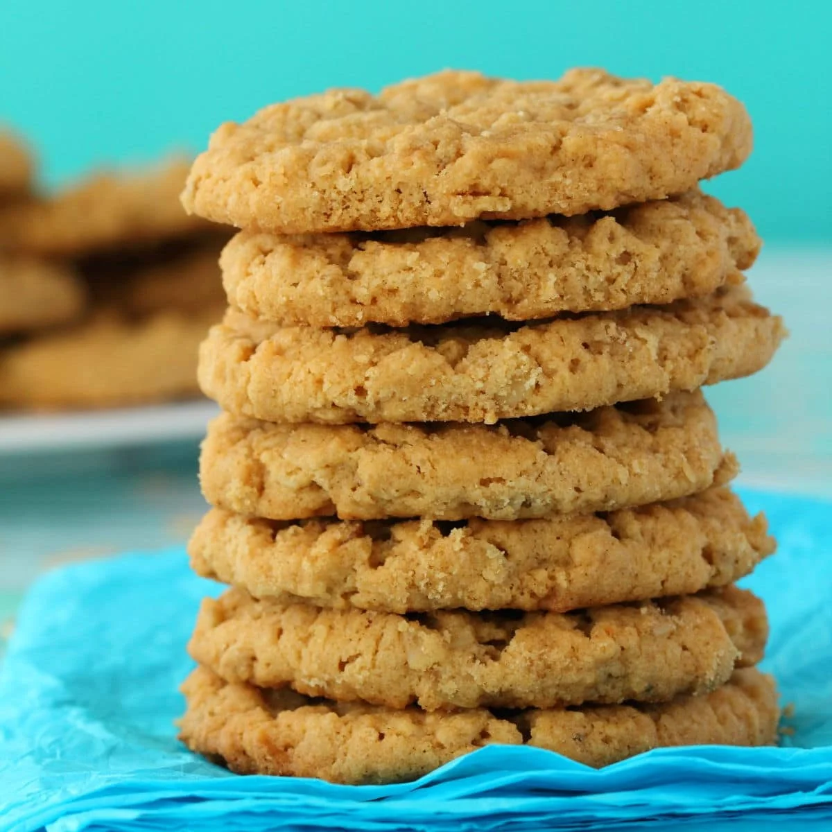 Vegan Peanut Butter Oatmeal Cookies