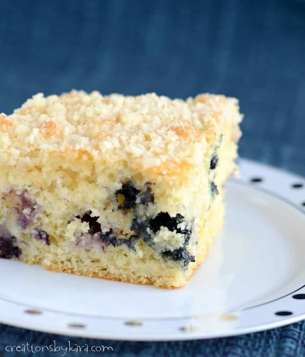 Blueberry Coffee Cake with Crumb Topping