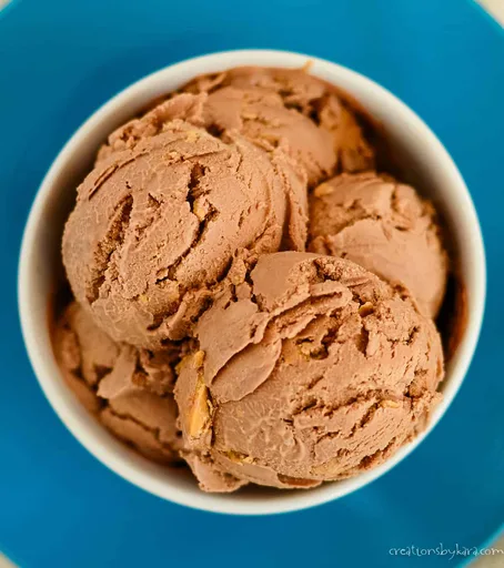 Peanut Butter Chocolate Ice Cream