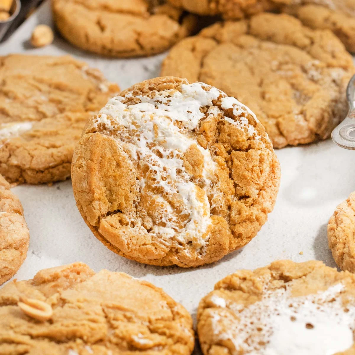 Gluten-Free Fluffernutter Cookies