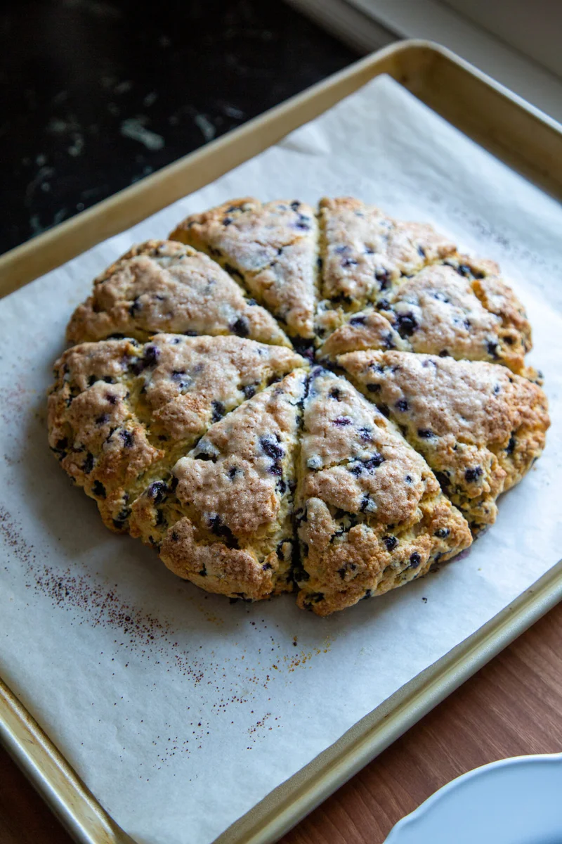 Blueberry Scones