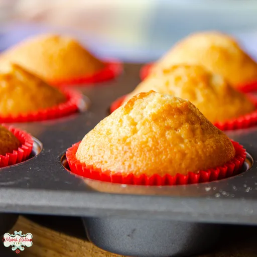 Facturas de Manteca