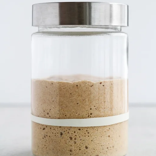 Sourdough Starter Recipe