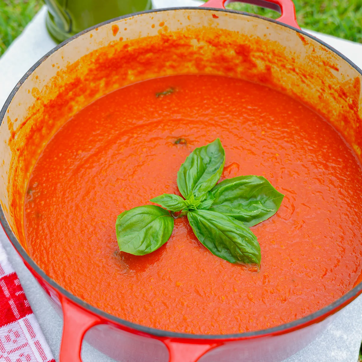Basil Tomato Pasta Sauce