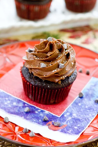Double Chocolate Cupcakes