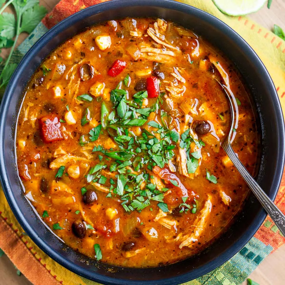 Chicken Enchilada Soup