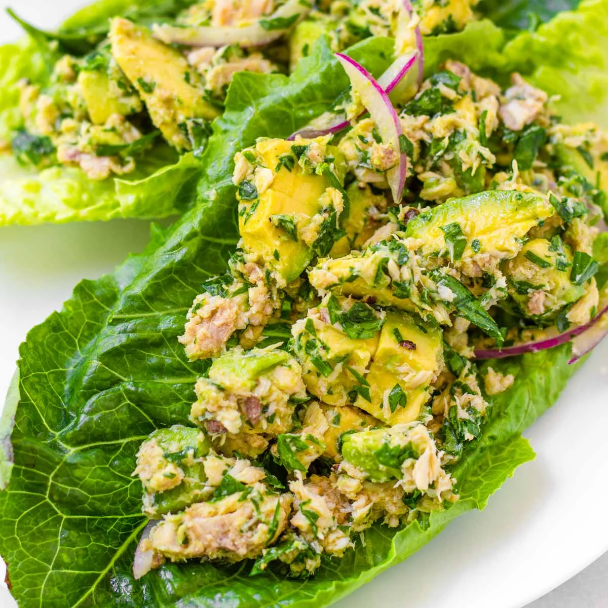 Avocado Tuna Salad