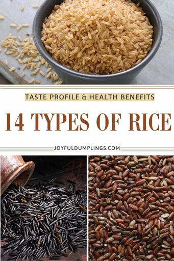 14 TIPOS DE ARROZ