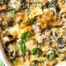 White Chicken Lasagna Recipe