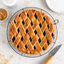 Blueberry Crostata