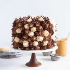 Chocolate and Peanut Butter Layer Cake with Chocolate and Peanut Butter Buttercream